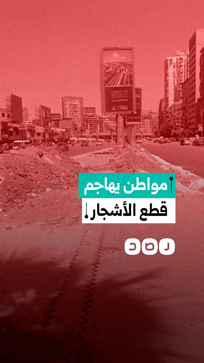 مواطن يهاجم إزالة الأشجار من شارع جامعة الدول: "إحنا أقل من الحيوانات؟"