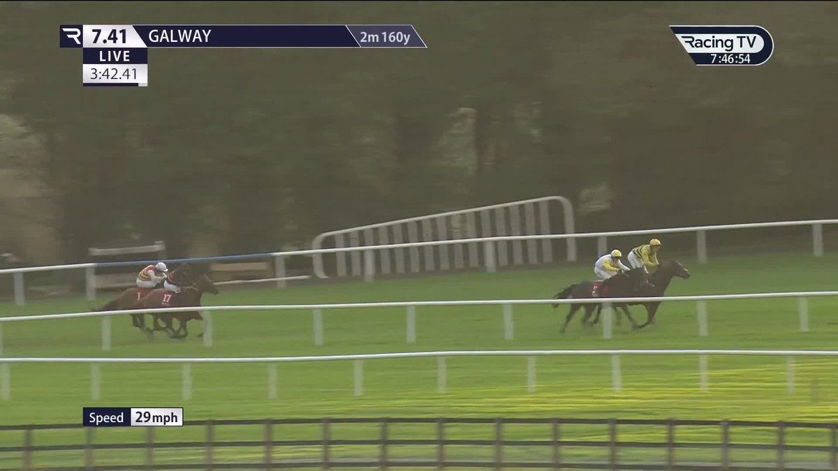Brickfield Belle (Blue Bresil) scores by 15L on her return to action and could be a nice mare for Henry de Bromhead with this nice effort in the finale at Galway Races
