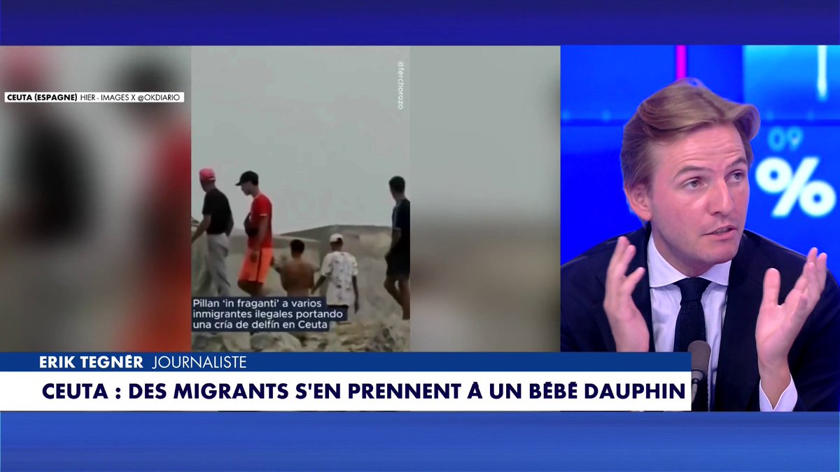 Après la diffusion d’une vidéo polémique montrant un bébé dauphin sorti de l’eau par des migrants à Ceuta, Erik Tegnér, journaliste, réagit dans #100Politique : «C’est un comportement de barbare».