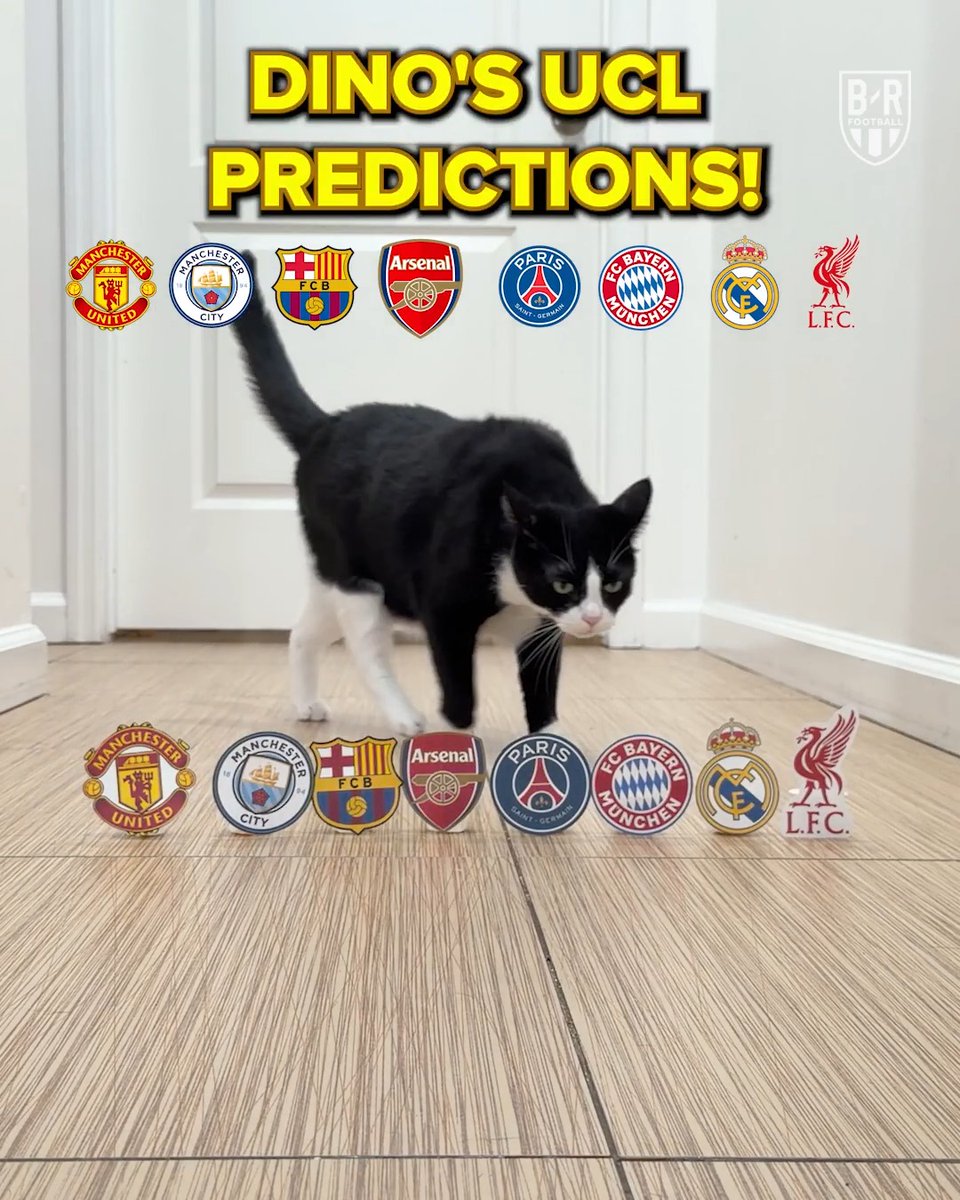 Eliminating teams until we predict the UCL winner 🌟 That final though 😲