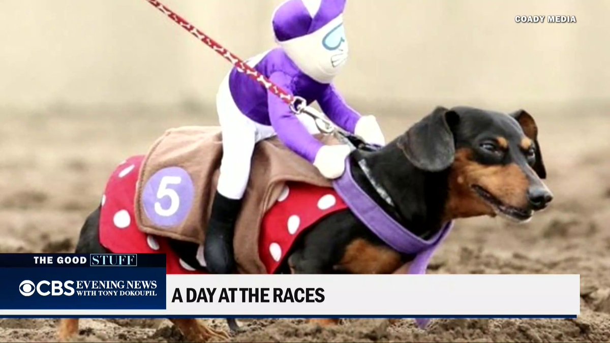 A new champion was crowned this weekend at a dog race at Canterbury Park in Minnesota with thousands of cheering spectators. @TonyDokoupil has the story.