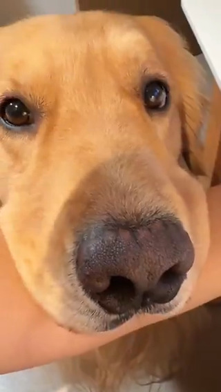 Stop using the computer and pay attention to me🥹