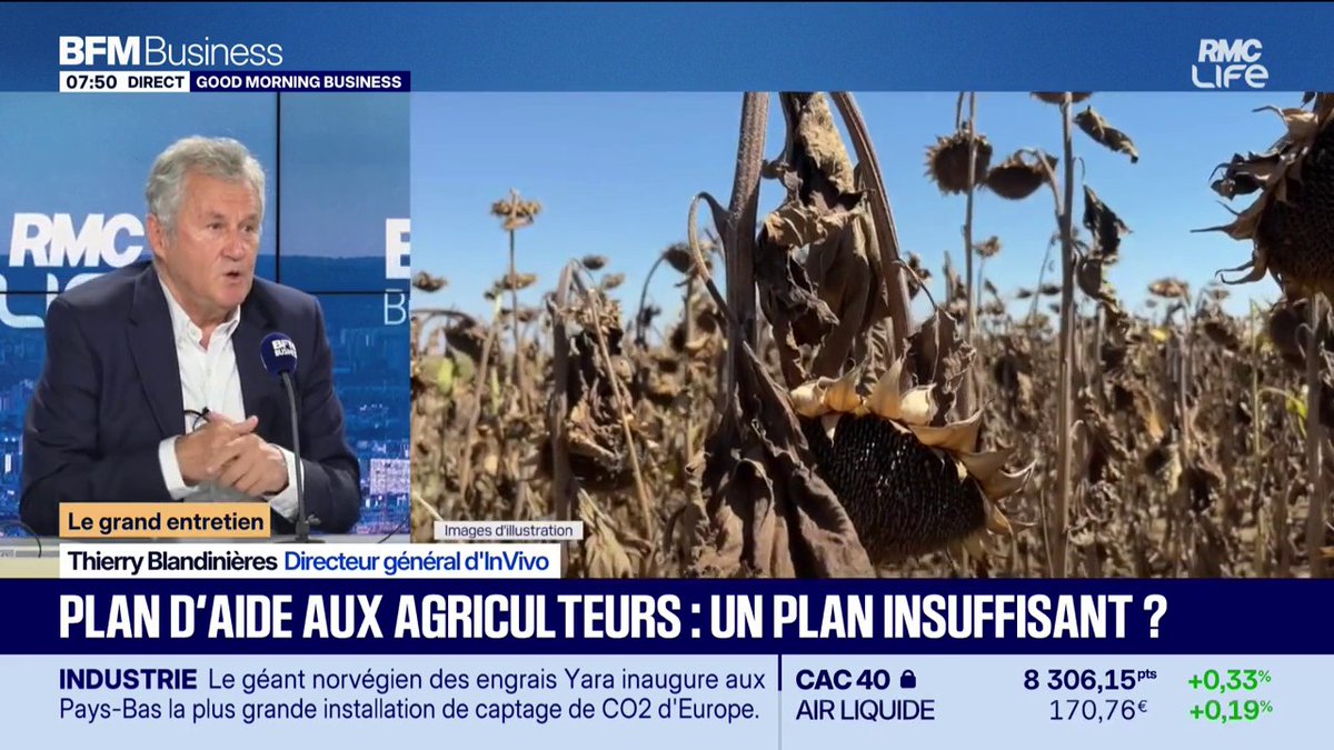 Après les canicules de cet été, les prix vont augmenter ☀️ "Les prix vont nécessairement augmenter. On aura certainement une inflation forte l'année prochaine." 💬Thierry Blandinières, directeur général d'InVivo