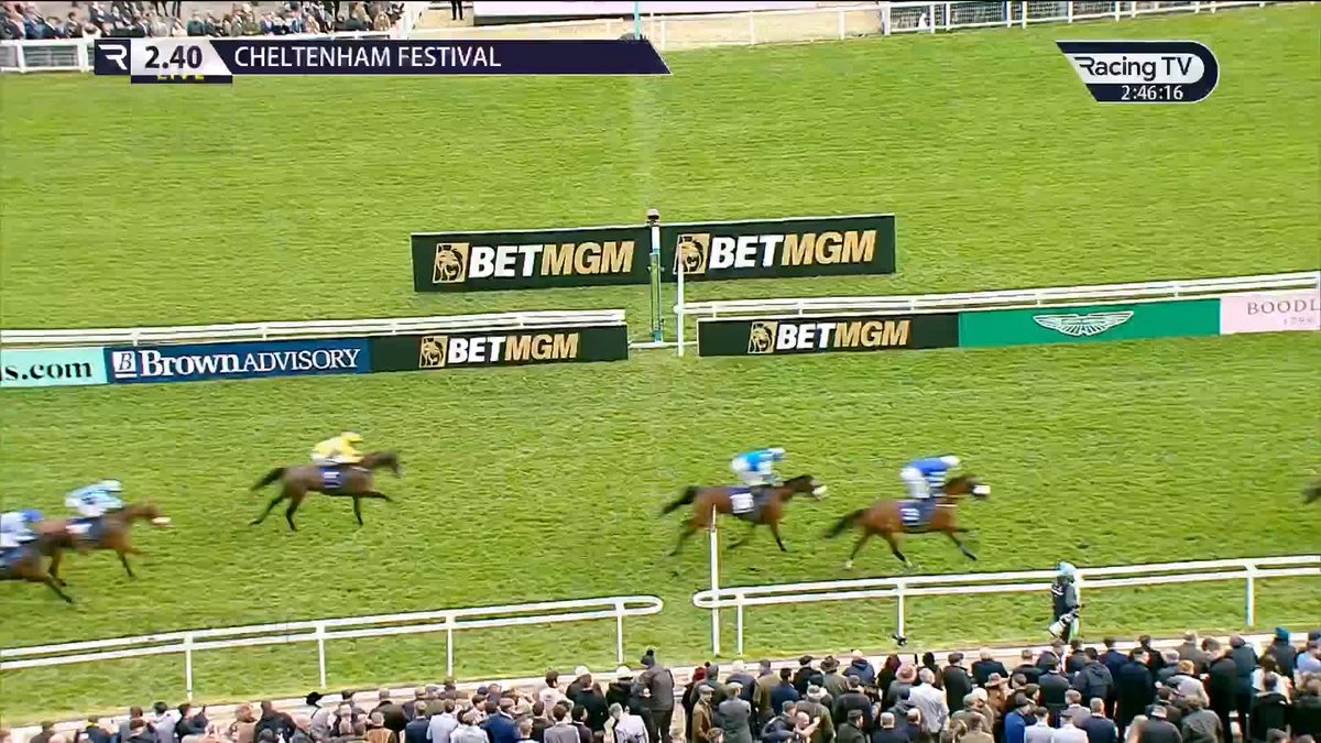 ✅ Owner Ed Ware says that JIMMY DU SEUIL could start off in the Hatton's Grace Hurdle "if the ground is okay", per Sam Morgan. "His program will be built around turning up on the Thursday of Cheltenham for the Stayers Hurdle."