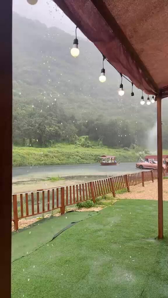 ما شاء الله الخيرات الان ف وادي دربات ولاية طاقه محافظة #ظفار 🌧️🌧️