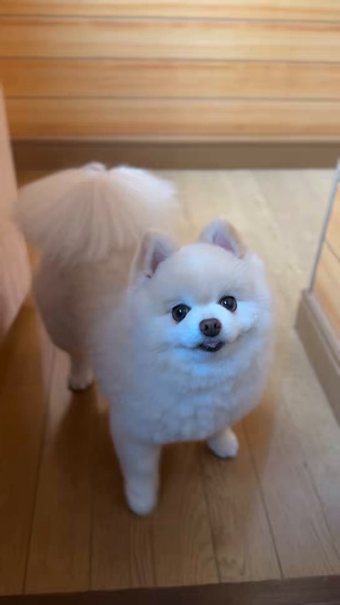 何かを訴えるラニアン！！