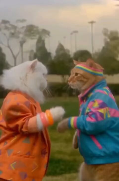 بعد تريند 80s و 90s.. خايف الاقي كده ف الشارع.😂😂