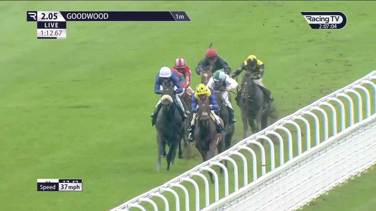 500,000gns buy Quicken Away (Frankel) lands a £30,000 prize second-time out to open his account for Oisín Murphy, Andrew Balding and Saeed Suhail Goodwood Racecourse