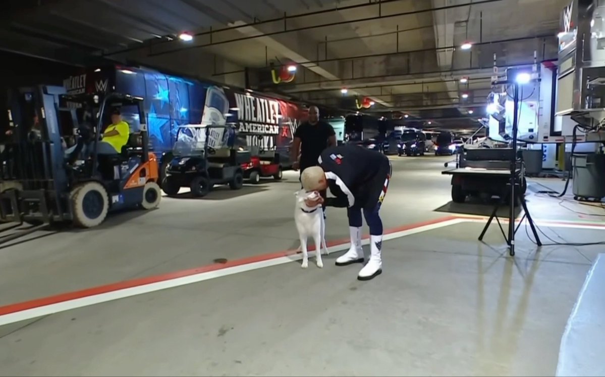 Cody Rhodes Summer Slam entrance which features Pharoah’s final walk out on WWE TV: “He has stood by Cody’s side for years all the miles, all the towns, all the travel, truly Cody’s best friend” What a beautiful moment captured here.
