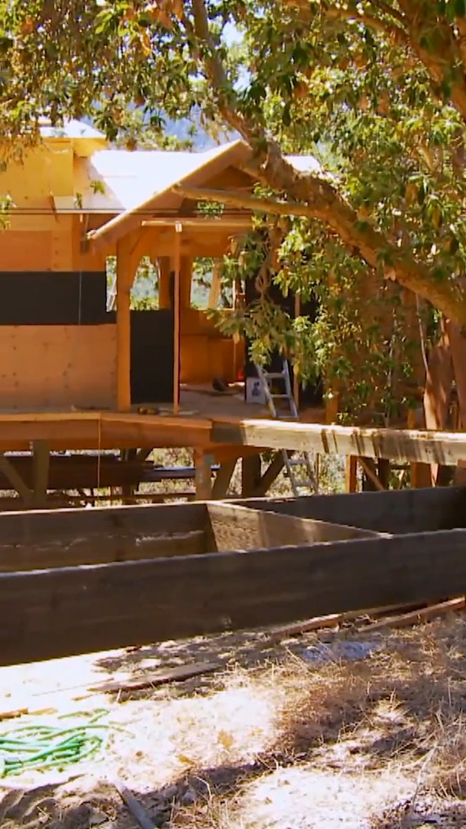 Treehouse bridge building GONE WRONG! 😲 #treehousemasters #treehouse #gonewrong