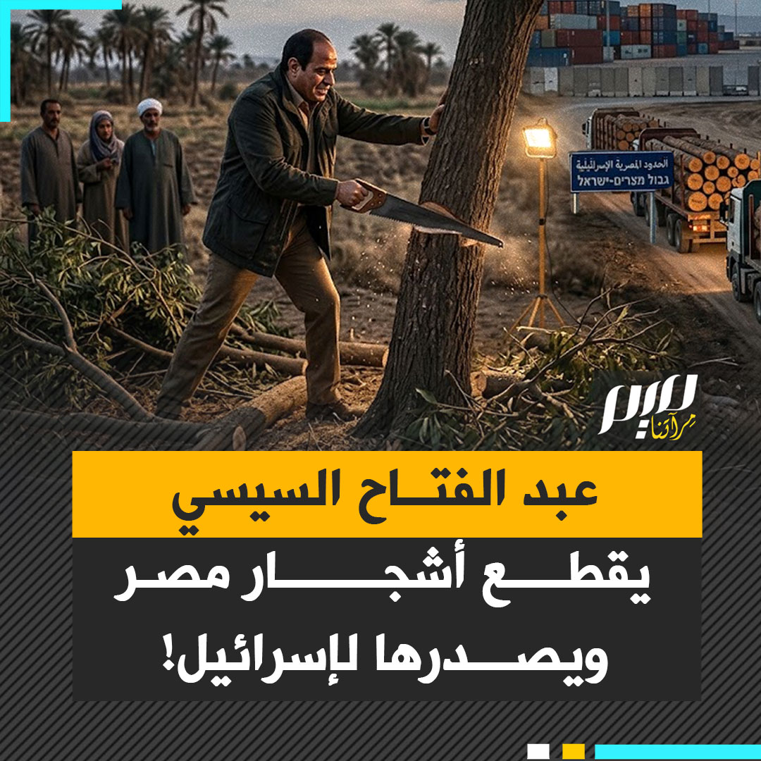 في عهد عبد الفتاح السيسي.. السلطات المصرية تقطع الأشجار التي يستظل بها المصريون، لتصدر أخشابها إلى إسرائيل!
