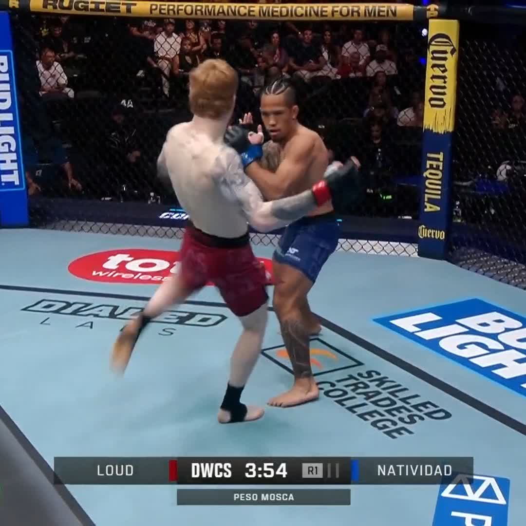 Al hígado!!!! WOW!!! Belleza de combo de Natividad #DWCS