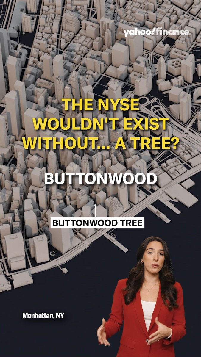 The tree that kicked off what we know as Wall Street today. 🌳 🏦