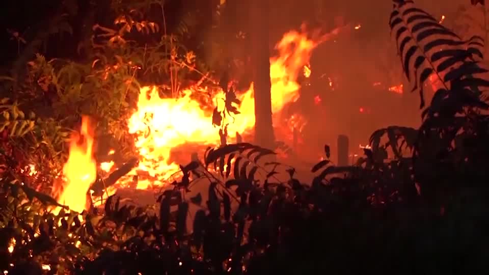 Indonesia is facing a surge in emissions from wildfire now blazing through stretches of forest and peat land on the islands of Borneo and Sumatra, with carbon dioxide readings currently the highest in the world, data showed. David Stanway has more