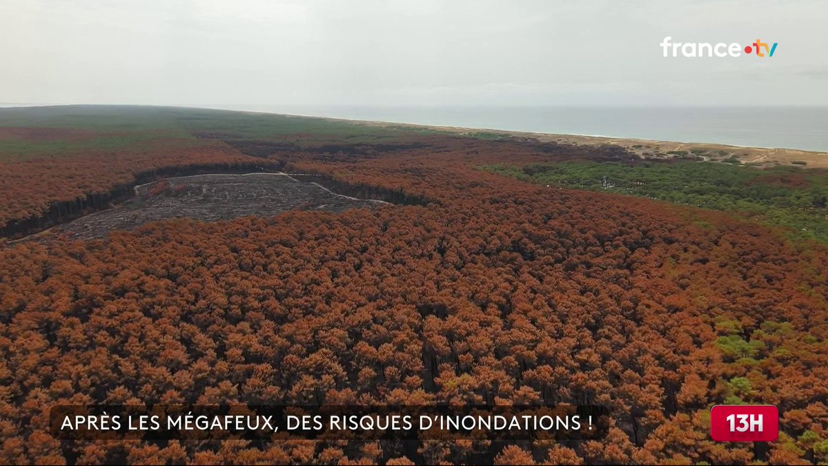 🔴 En Gironde, après les gigantesques incendies de l'été, ce sont désormais les inondations qui inquiètent les habitants et les élus. Les pins ayant disparu, ils ne pompent plus l'eau qui s'écoule. Des travaux d'urgence ont été lancés. #JT13H