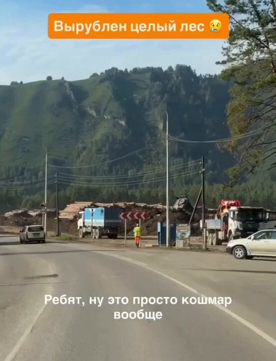 Алтайский край. Леса вокруг Манжерокского озера вырубают и отправляют в Китай. Как похорошела Россия при Путине...