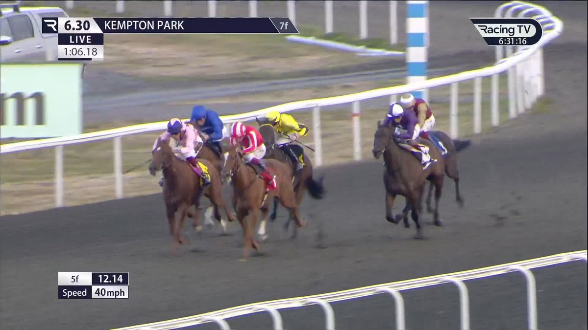 11 🚀 €1.1million buy Lex Victoria (Sioux Nation) impresses at Kempton Park Racecourse to remain unbeaten for Gainsborough Thoroughbreds and Oisín Murphy Unibet Racing