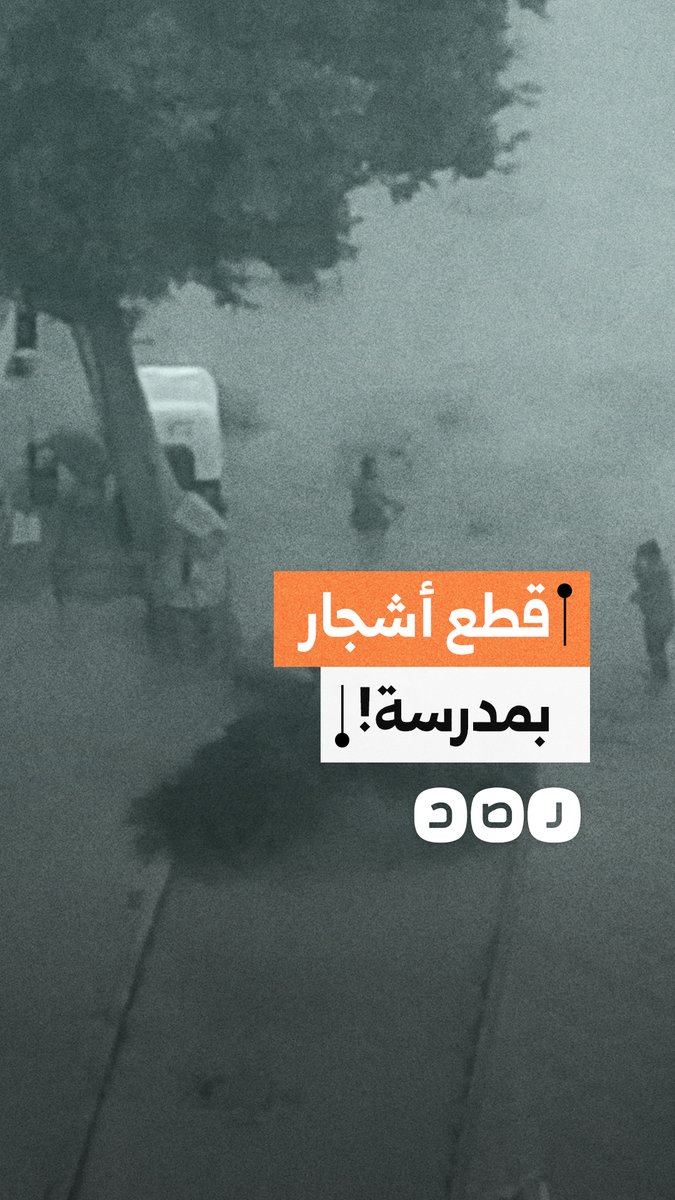 مشاهد متداولة لإزالة أشجار داخل إحدى المدارس في أحد أحياء القاهرة