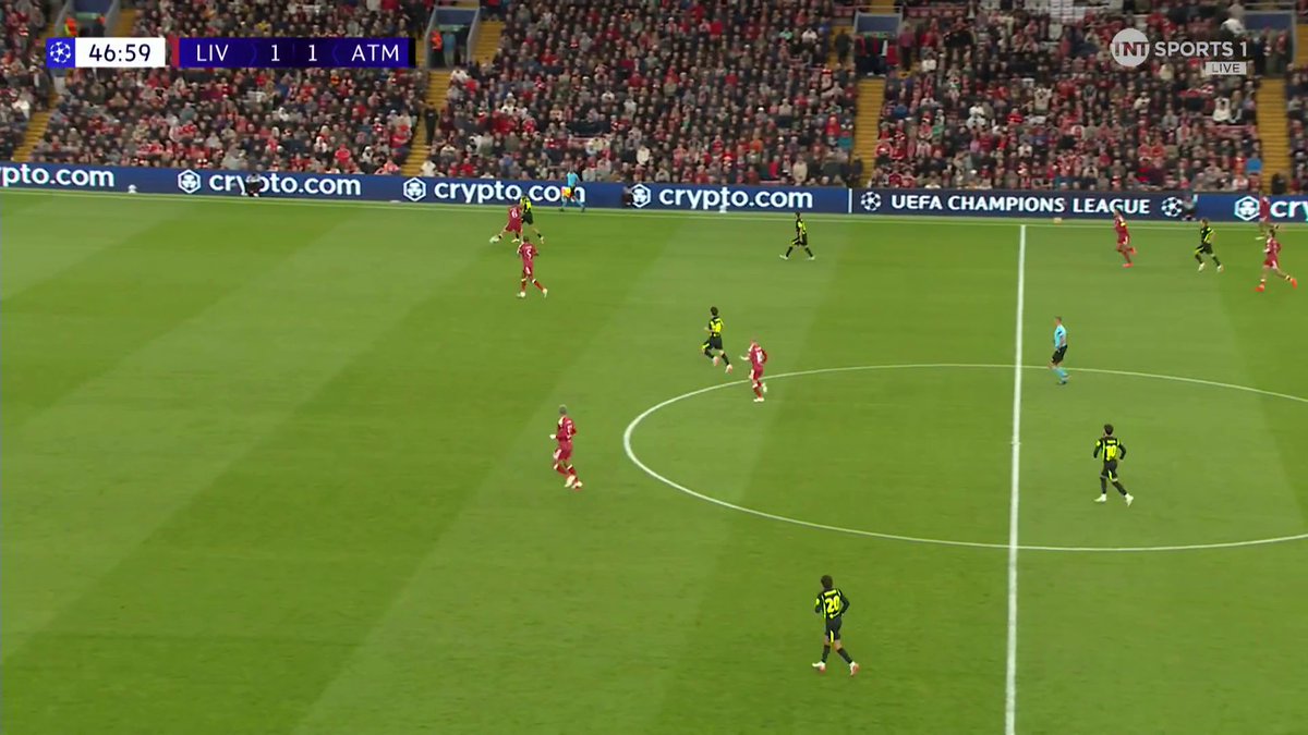 “I’d call mine Goodison!” 😂 Steven Gerrard reacts to Marcos Llorente naming his dog ‘Anfield’ after his Champions League heroics at the stadium 🐶 📺 TNT Sports & HBO Max