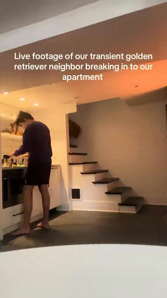 I love how he checks to see if he is seen and has permission to come in