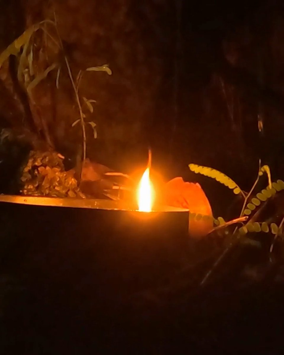 Deep in Guam's jungle, Heather and Phil attempt to communicate with the spirits around them 🕯️ #ExpeditionX starts NOW on Discovery.