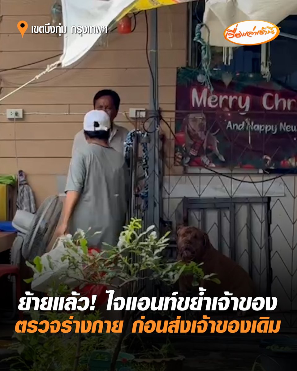 ย้ายแล้ว! "ไจแอนท์" กัดเจ้าของวัย 70 ปี เสียชีวิต ล่าสุดมูลนิธิ วอชด๊อก ไทยแลนด์ นำเจ้าไจแอนท์ไปตรวจร่างกายที่โรงพยาบาลสัตว์ ก่อนจะประสานส่งคืนเจ้าของเดิมที่ จ.สุพรรณบุรี พร้อมประเมินอาการป้องกันเหตุซ้ำ ขณะที่คนงานเล่านาทีเกิดเหตุ ไม่มีใครกล้าเข้าไปช่วย #เรื่องเล่าเช้านี้ #ครอบครัวข่าว3 #ไจแอนท์ #สุนัขขย้ำเจ้าของ #มูลนิธิวอชด๊อกไทยแลนด์