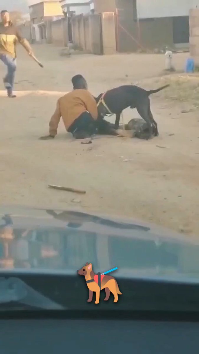Can they save him before it’s too late?
