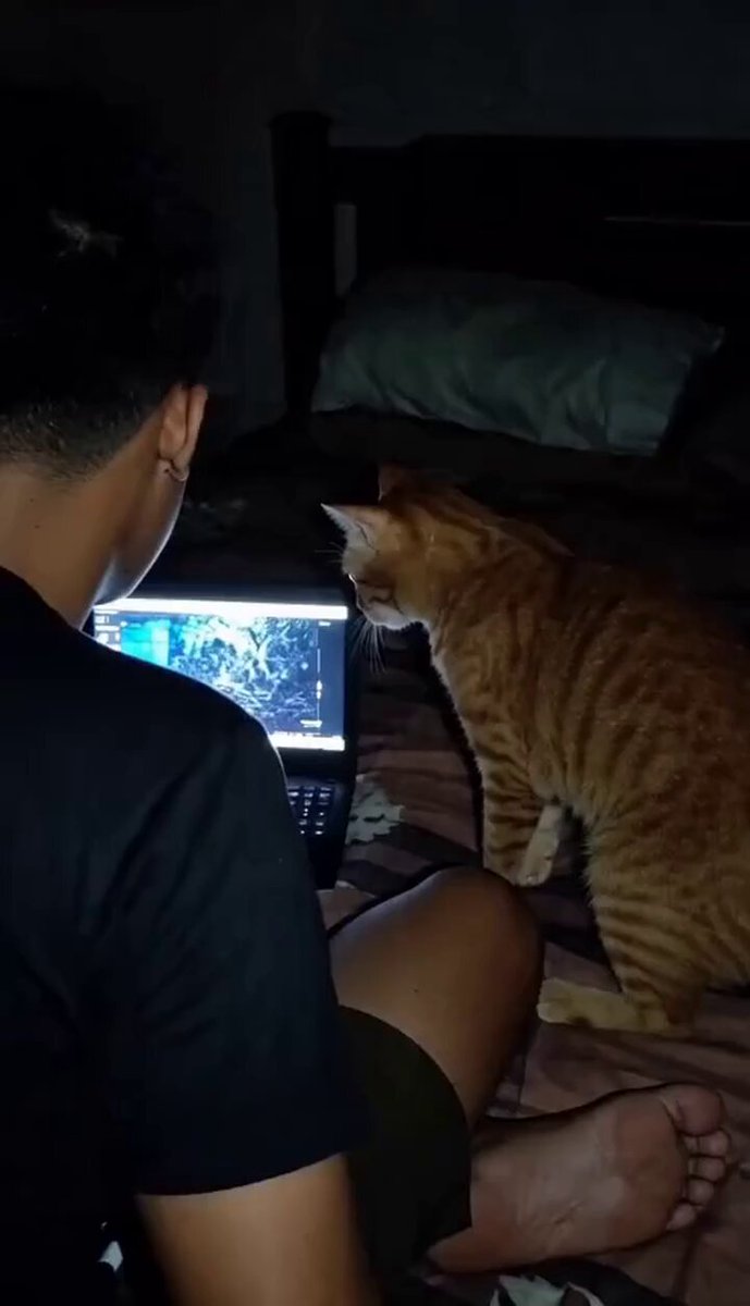 แกล้งเราเหรอ😺 ตกใจหมดเลย🤣🤣