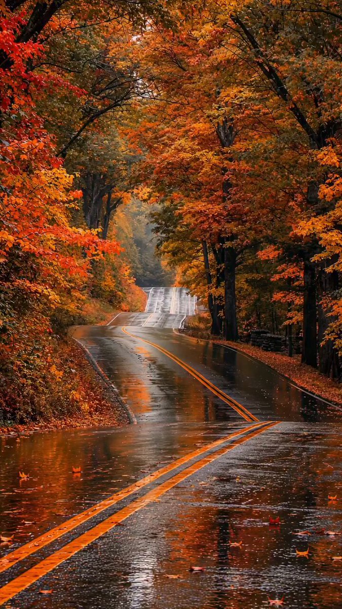 The best season ever autumn 🍂🍁