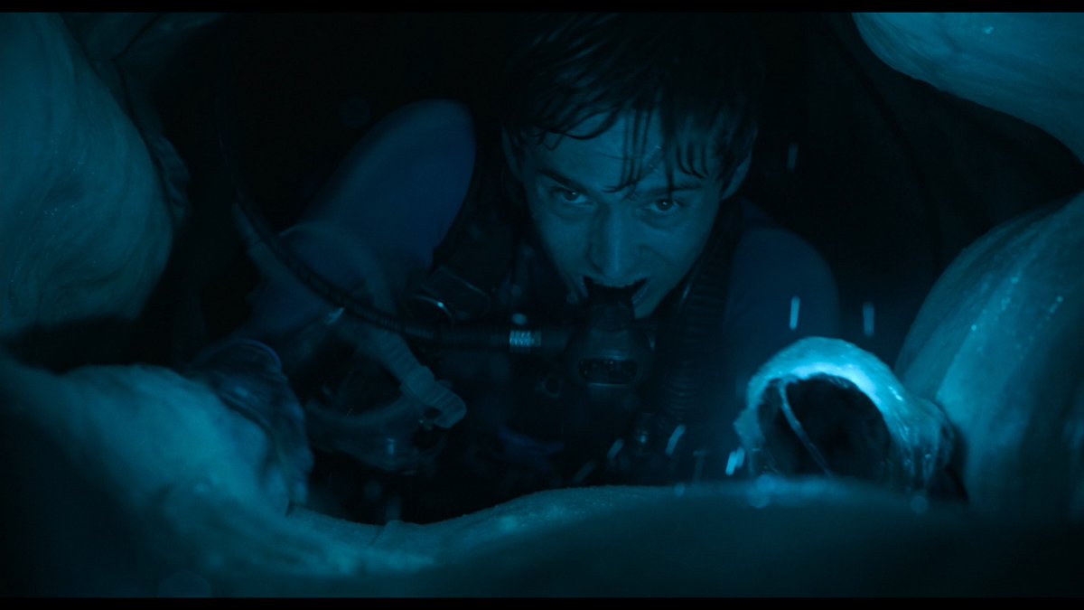 What are you going to do? Just accept your fate? #Whalefall is showing at Regal October 16.
