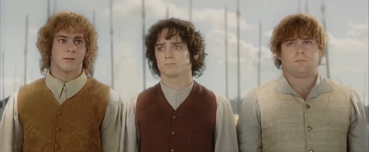 This scene from The Lord of The Rings is Still one of the most beautiful moments in cinema history.