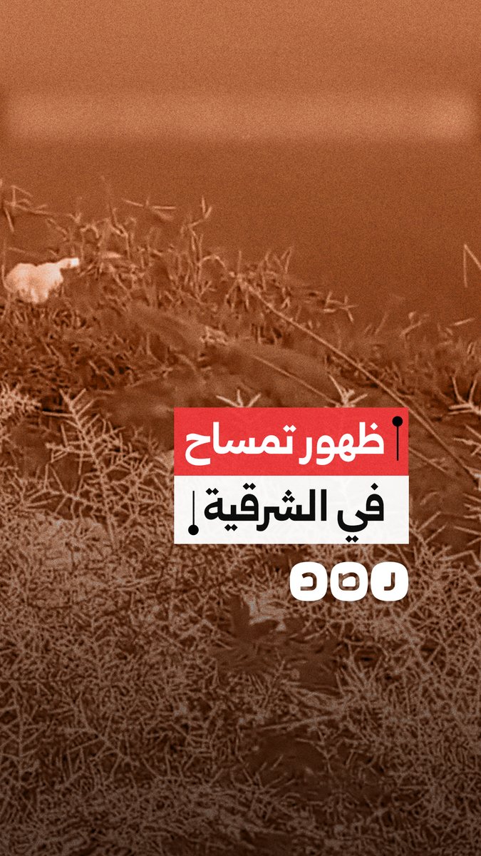 ظهور تمساح جديد يثير ذعر الأهالي أمام قرية أسعد بمحافظة الشرقية