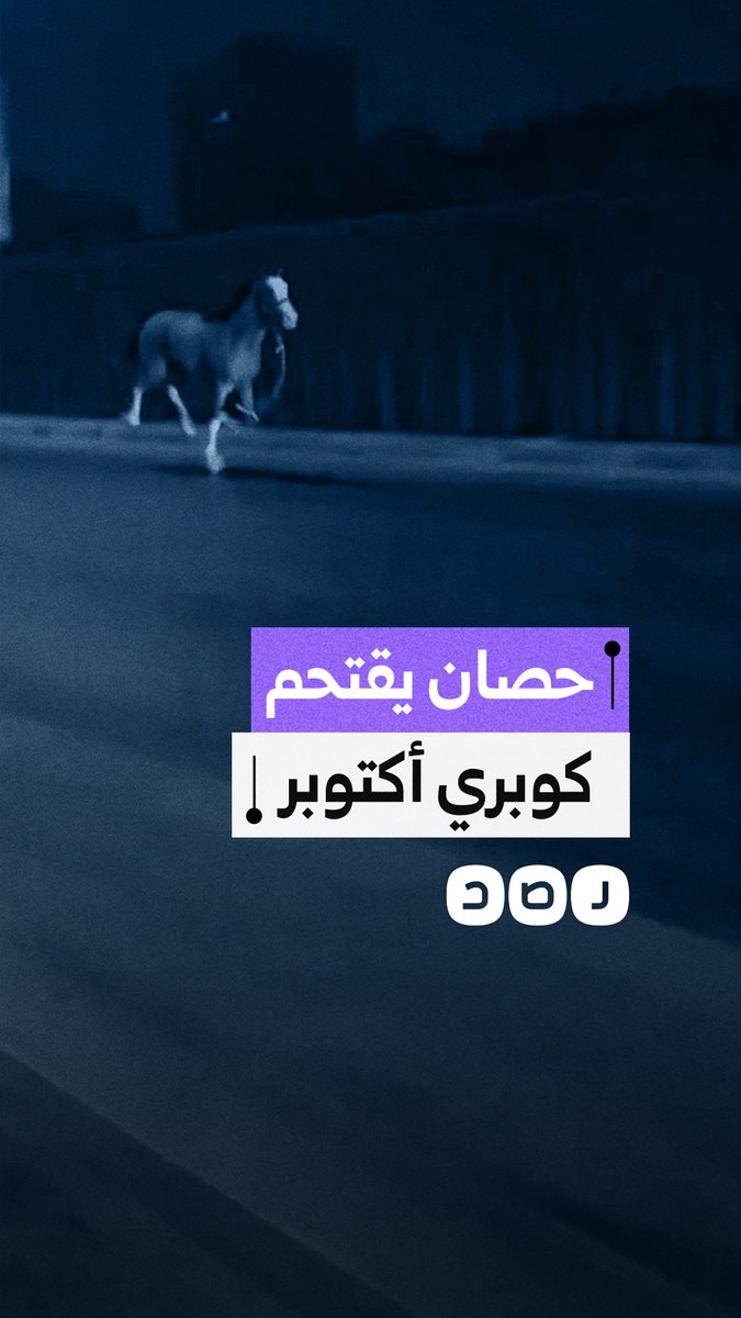 حصان يقتحم كوبري أكتوبر وسط ذعر بين المارة والأهالي يتدخلون للسيطرة عليه
