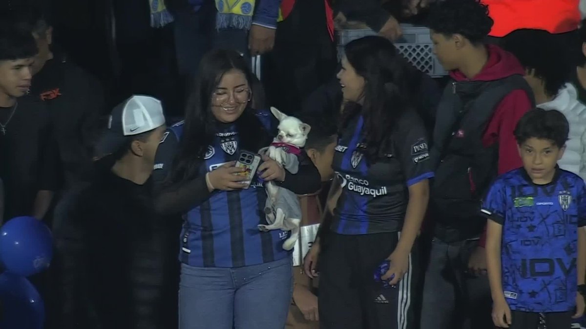 DOS CURIOSIDADES TOP EN EL ENTRETIEMPO DE INDEPENDIENTE DEL VALLE VS. FLAMENGO... 👀 Una camiseta de Liga de Quito en la tribuna: ¿bancando al Mengao? 🐶 Pet friendly: ¡fue un CHIHUAHUA! 📺 Mirá TODA la CONMEBOL #Libertadores por #DisneyPlus Plan Premium