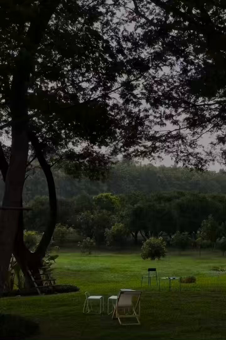 I see the wind in the trees and I want to live