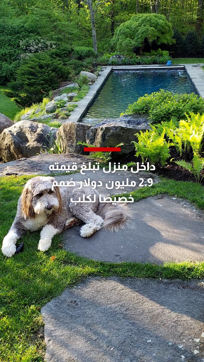 داخل منزل تبلغ قيمته 2.9 مليون دولار صُمم خصيصًا لكلب.. والآن يُعرض للبيع لتسهيل حياة الحيوان الأليف المتقدم في السن