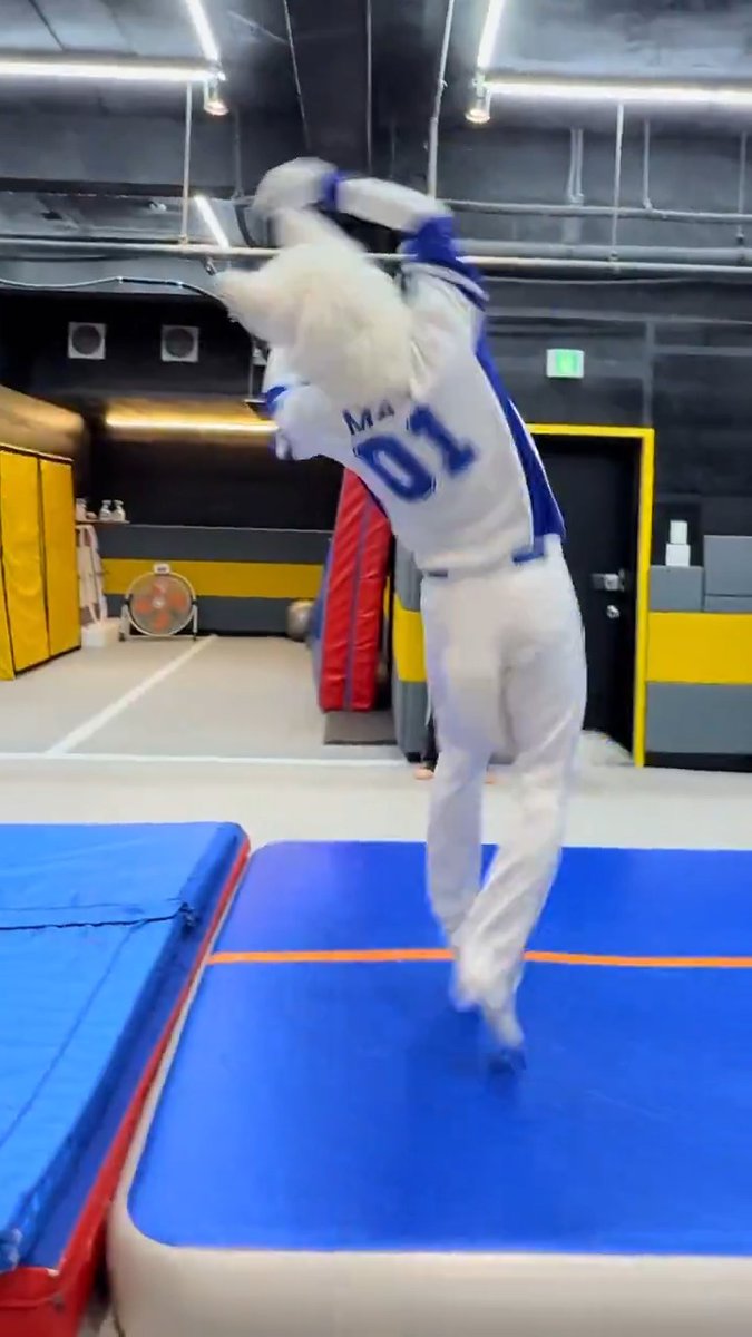 훈련로그 - 03 불러줘서 고마워! 재밌는 하루였어. 💪🐺✨ #Max_WhitefangWolves