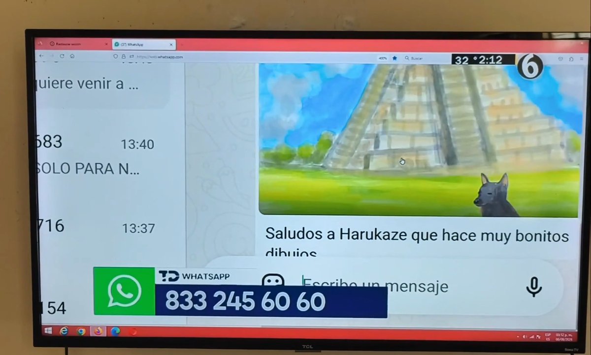 またメキシコ🇲🇽のテレビに紹介されてみたいなぁ（Canal 6）で以前紹介されました