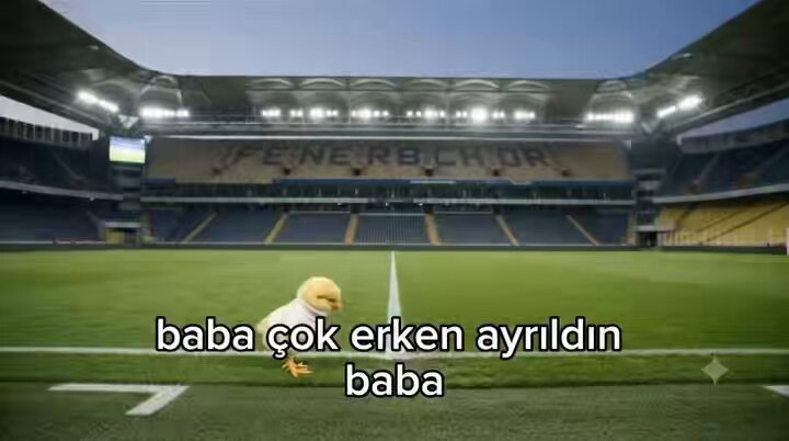 yönetim kurulu toplantısında izlenen edit