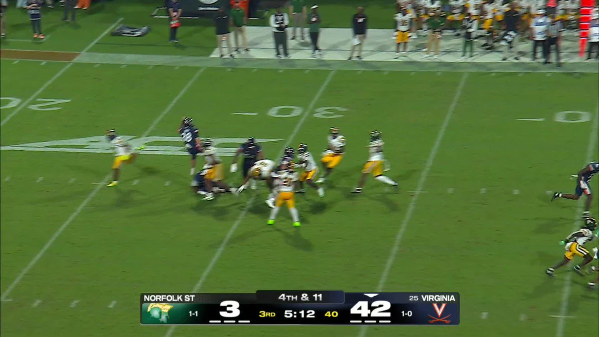 PUNT SO GOOD IT FOOLED THE CAMERA
