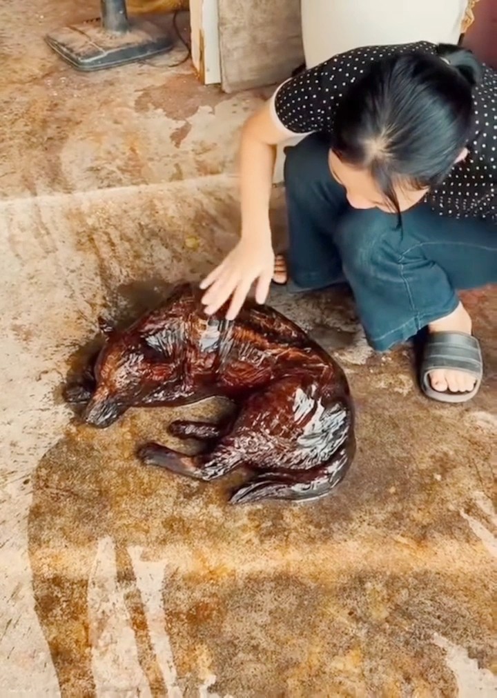 Sáng ra chả biết làm gì ! Lại bảo vợ ra tắm cho con chó sạch sẽ xíu anh em à.