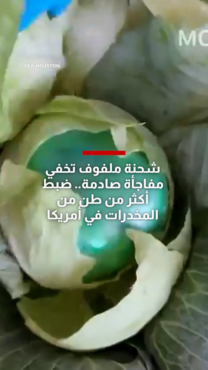 شحنة ملفوف تخفي مفاجأة صادمة.. ضبط أكثر من طن من المخدرات في أمريكا