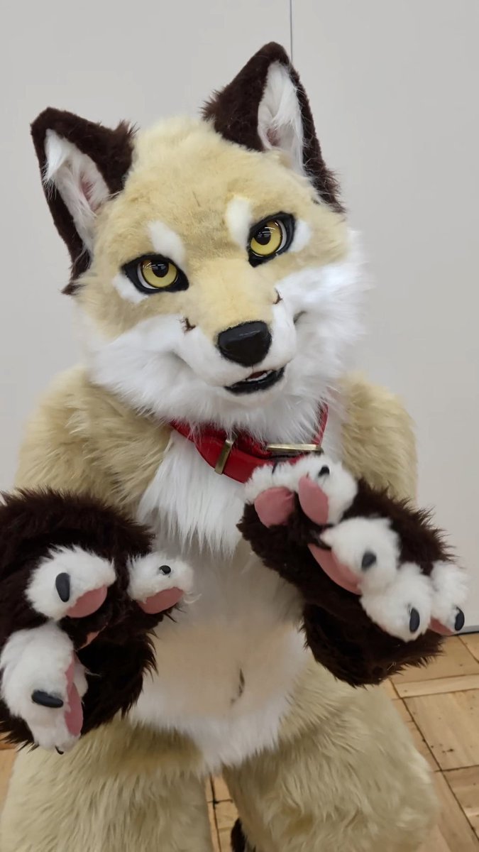 フォルトのヘッドをリメイクしました🦊✨️✨️ 7年前に作った初めてのキャラで久しぶりに出せて楽しかったーーー!!! 新しいフォルトもよろしく!