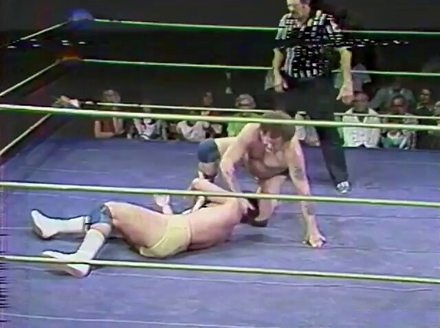 Harley Race didn't have a flashy finisher in his heyday as the NWA World Heavyweight Champion like here in February 1980.... He just used a straight up vertical suplex on a rookie Terry Taylor and Gordon Solie on commentary described at as a hold that could seriously hurt you