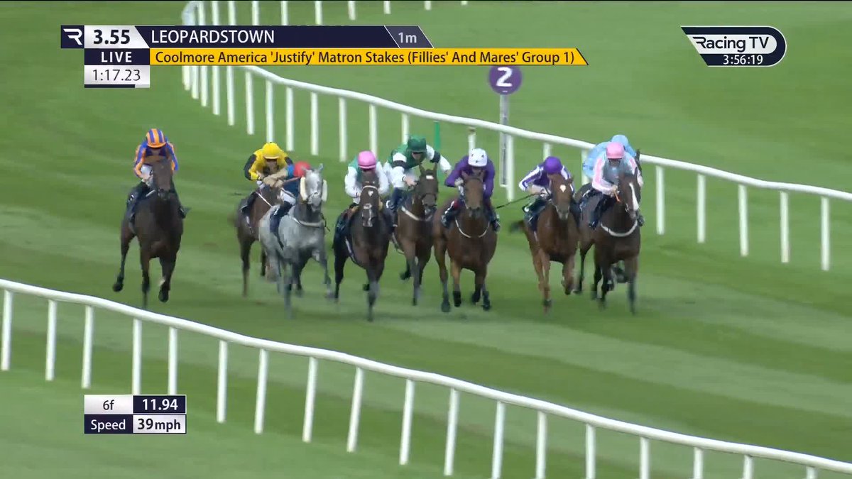 There is NO STOPPING her 🩷💚🤍 𝐁𝐥𝐮𝐞 𝐁𝐨𝐥𝐭 makes it five in a row with a demolition job in the G1 Matron Stakes. Andrew Balding | Colin Keane | Juddmonte