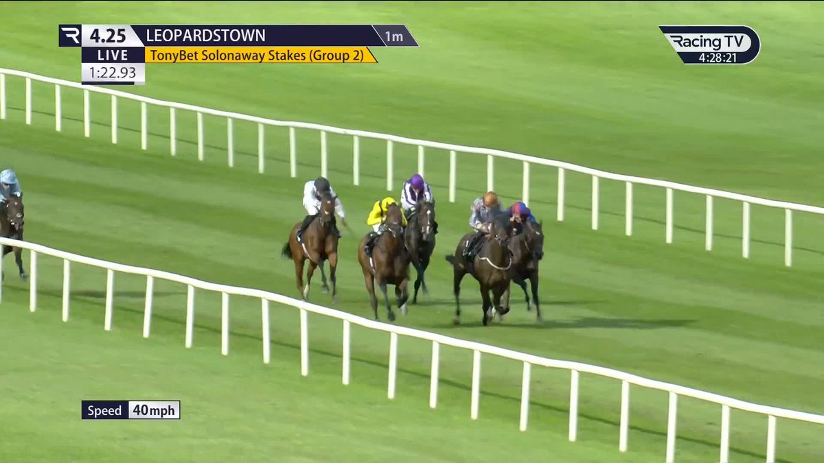 The market spoke and Quddwah delivered in the TonyBet Solonaway Stakes 🟨⬛️ Edward Crisford | Simon Crisford | James Doyle