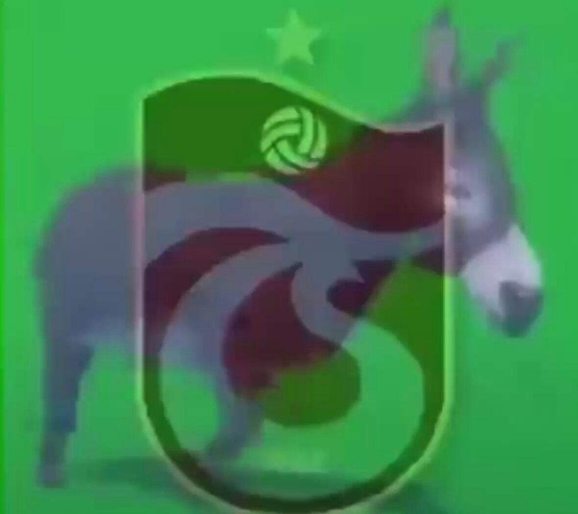 2 aydır kafa siken trabzonlular şimdi ortalıkta yok