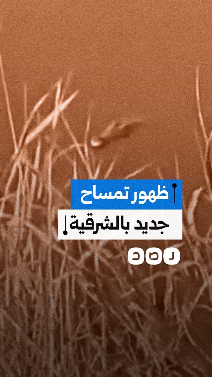ظهور تمساح جديد داخل مصرف بالقرب من مدرسة بعزبة أسعد في الشرقية