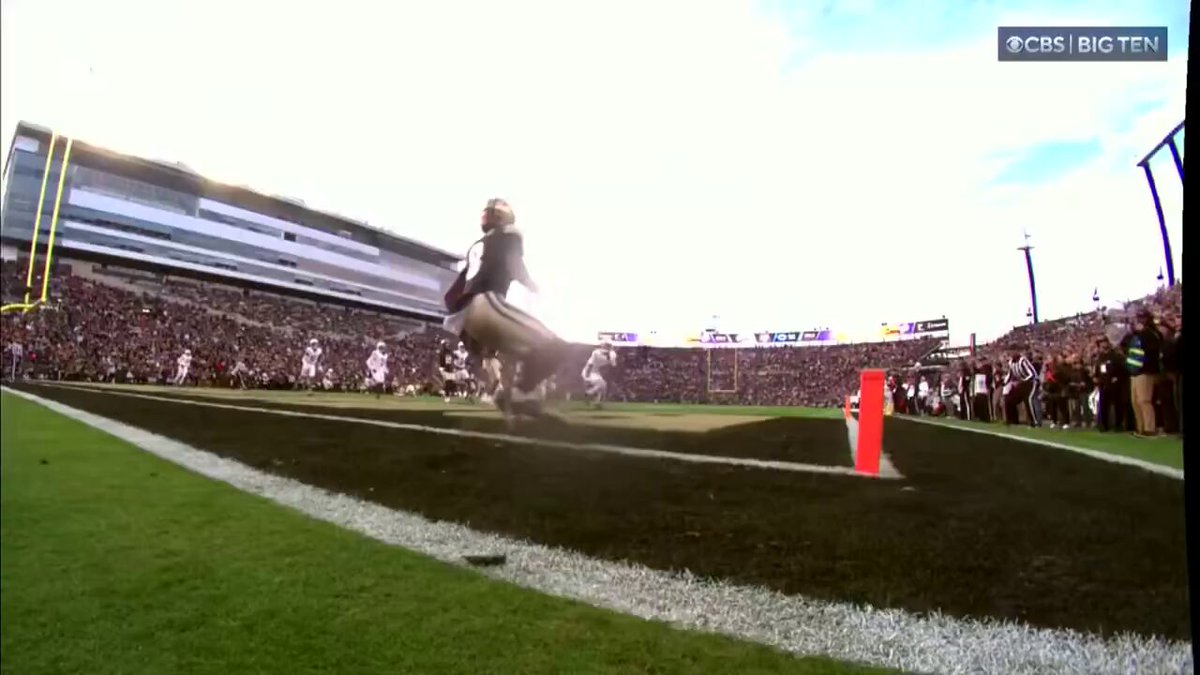 THEY REALLY SET THEMSELVES UP WITH THIS END ZONE DESIGN. 😂😂😂
