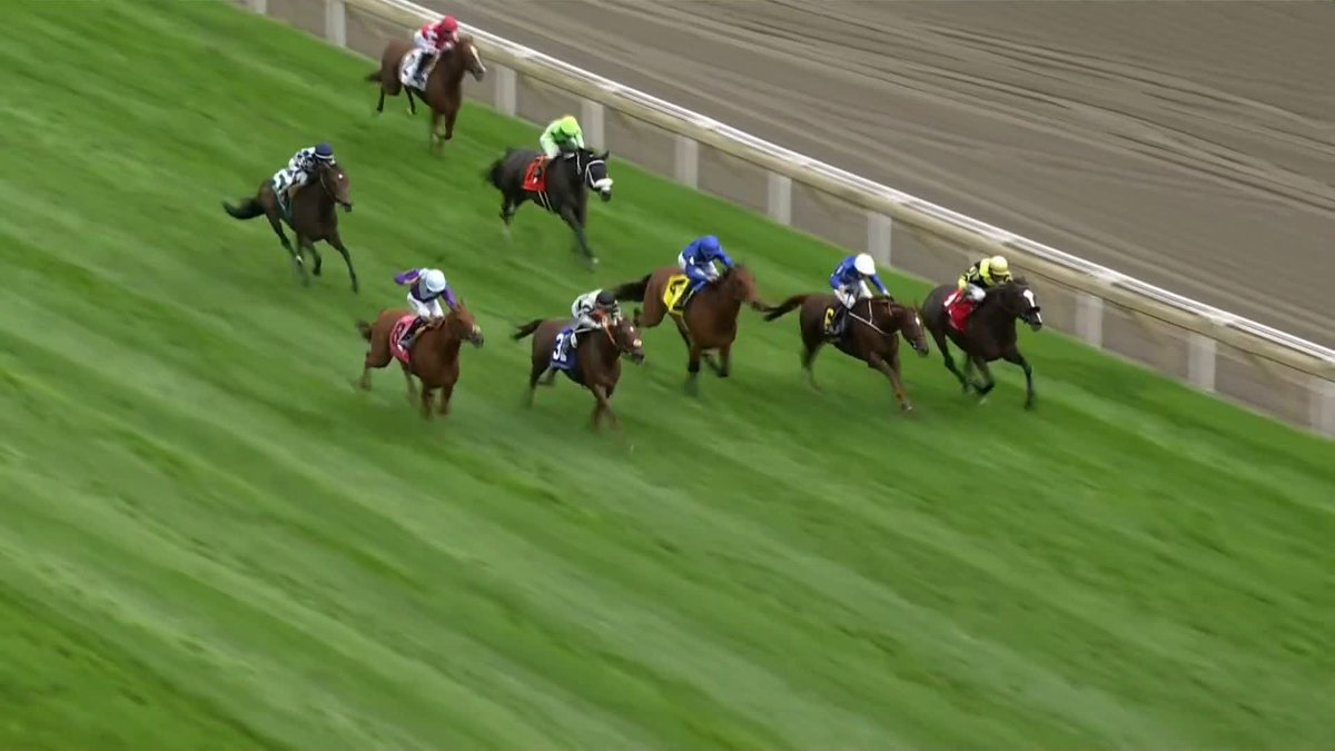 WHAT A FINISH! GIMME A NOTHER WINS THE GRADE 1 E. P. TAYLOR STAKES! Woodbine Racetrack